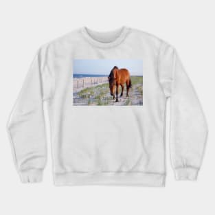 Wild horses, wildlife, Assateague Island, Mystic Beauty Crewneck Sweatshirt